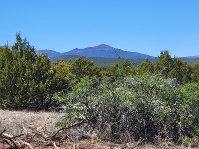 0 Camino Del Norte, Estancia, NM, 87016