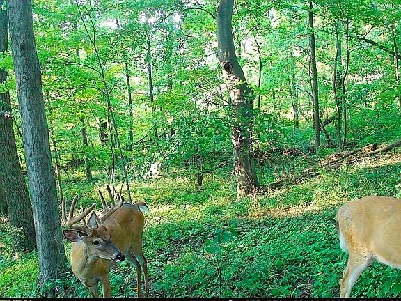 2nd image of 51133 Creglow Rd