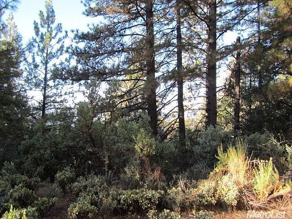 3rd image of 7265 Maidu Dr