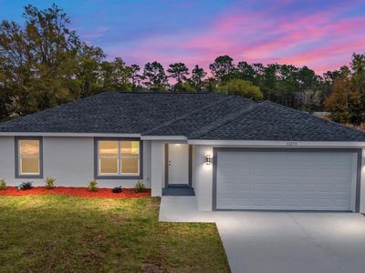 2693 SW 147th Ter, Ocala, FL, 34481