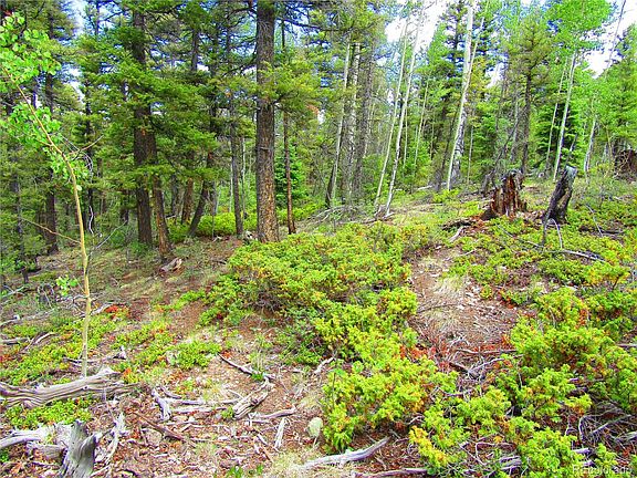 4th image of LOT 6079 Stella Road