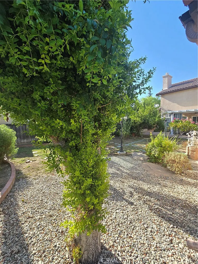 1 bed, 500 sqft, $2,000 — Photo 3