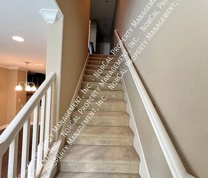 487 La Scena Pl — Photo 14