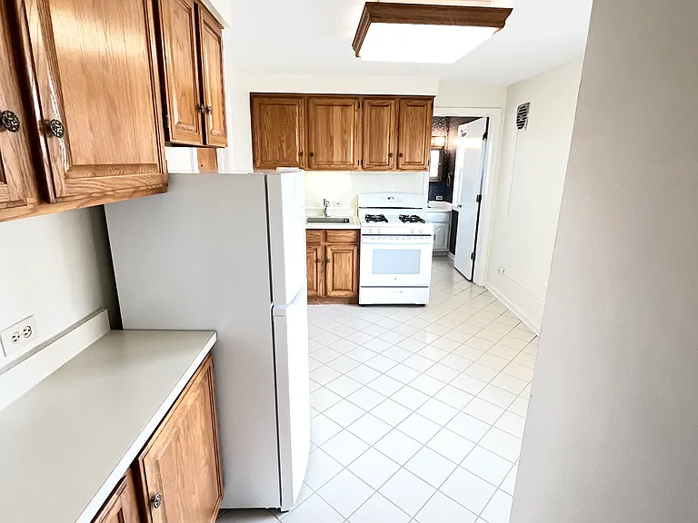 1310 Wilmette Ave #2E — Photo 7