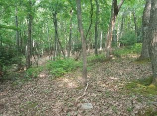 Tbd Clover Hollow Rd, Newport, VA 24128