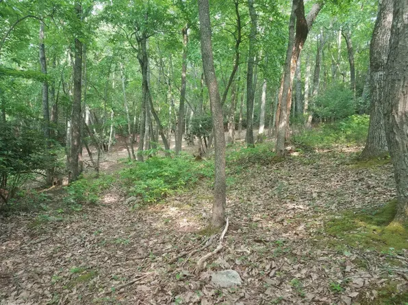 Tbd Clover Hollow Rd, Newport, VA 24128