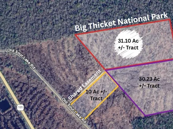 37020 Old Sour Lake Rd, Sour Lake, TX 77659