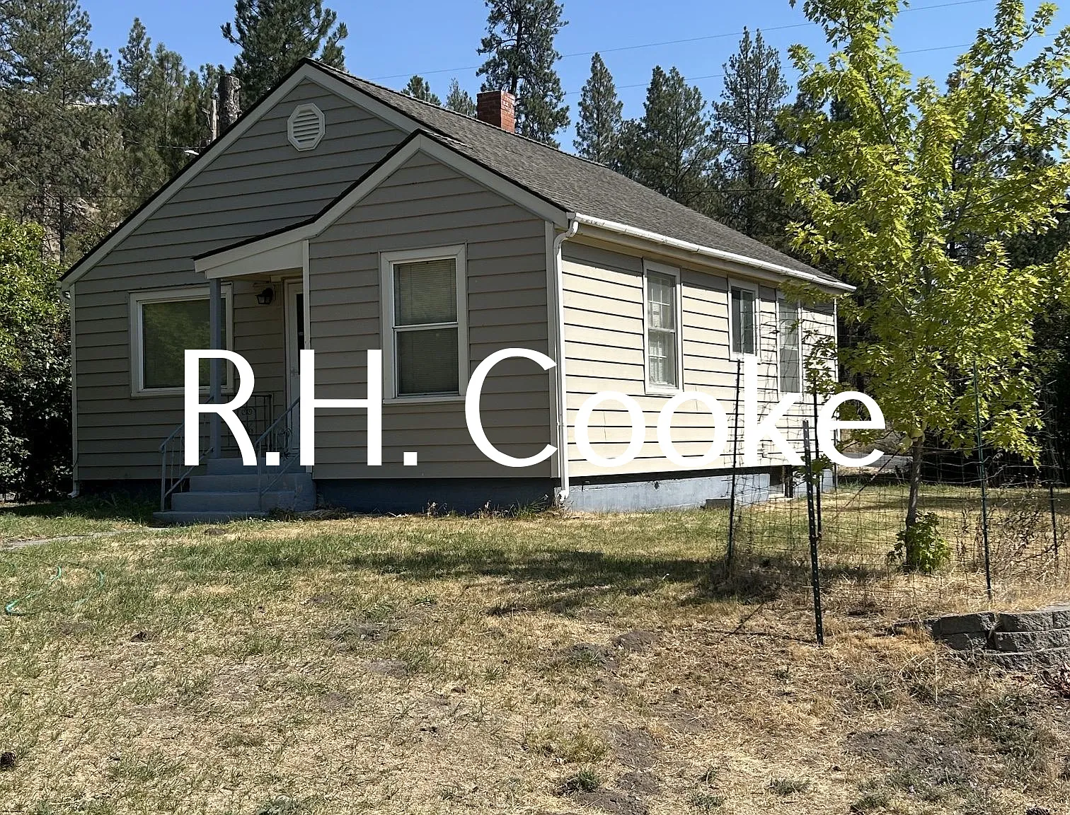 2 bed, 716 sqft, $1,250 — Photo 2