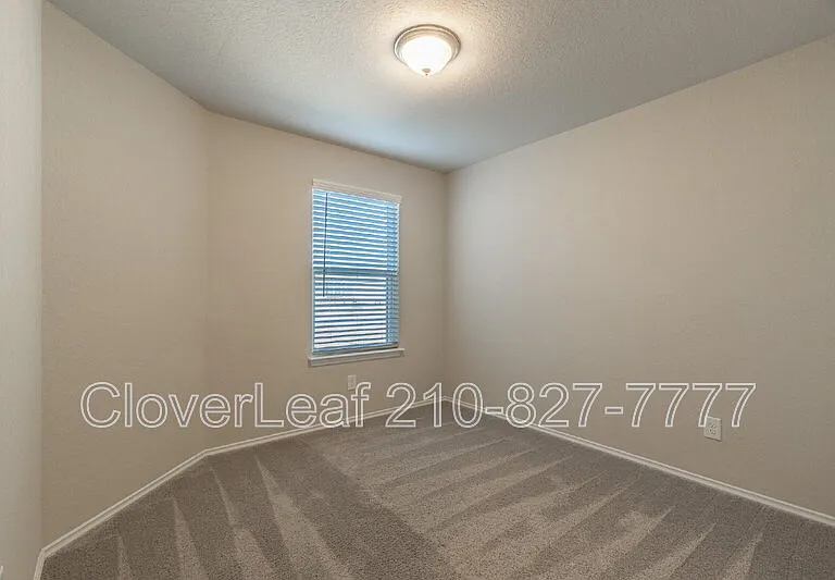 227 Stevens Smt — Photo 30
