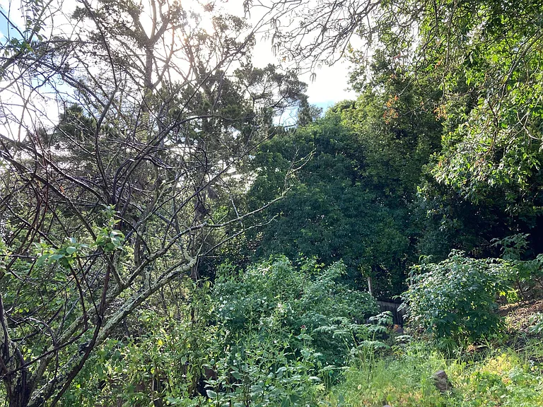 3316 Hillcrest Rd — Photo 33
