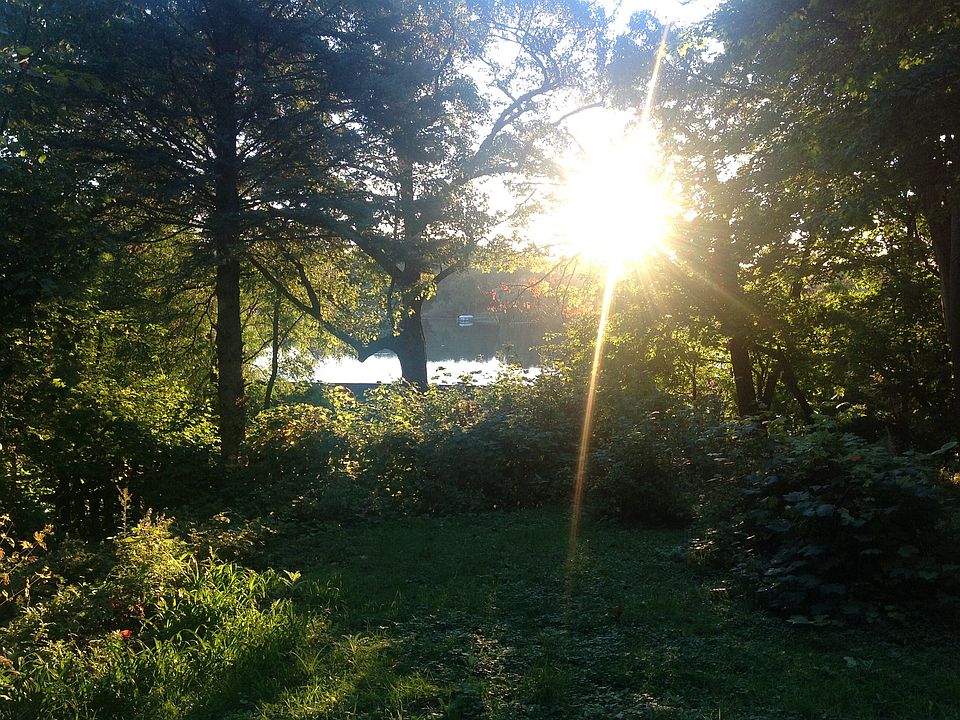 View from living room