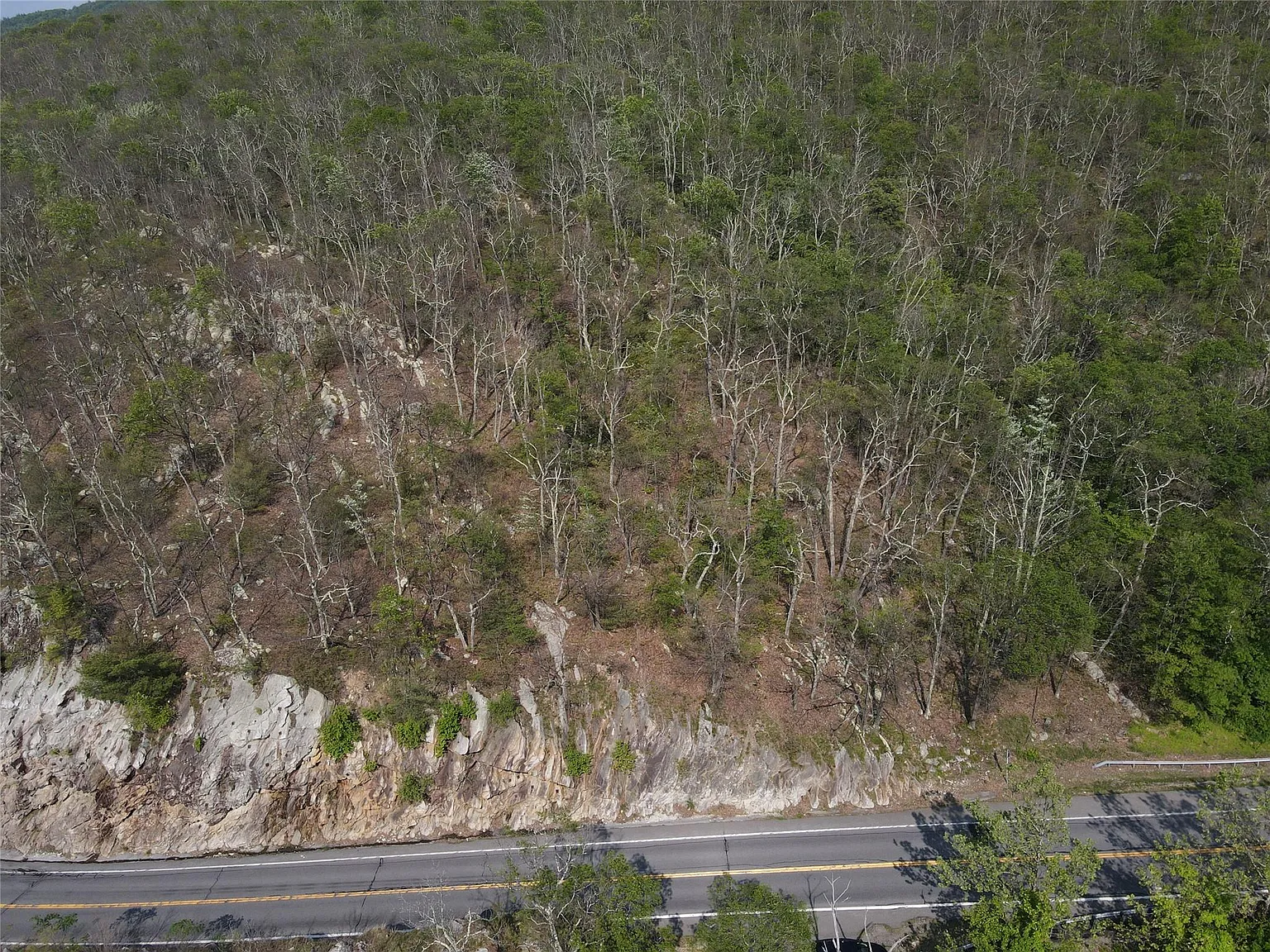 Route 52 photo 1