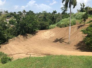 Bo Buena Vista Carr 167 Kmhm #13.9, Bayamon, PR 00956