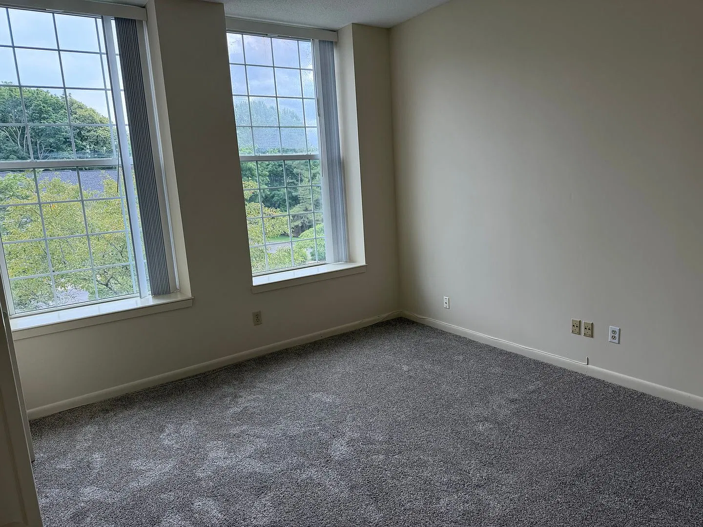 Washington Green Rentals — Photo 3
