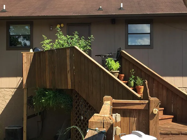 Back yard