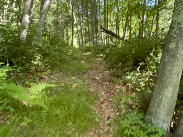 36 Georges Hill Road, Newtown, CT 06470