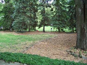 2nd image of 6951 Paula Dr