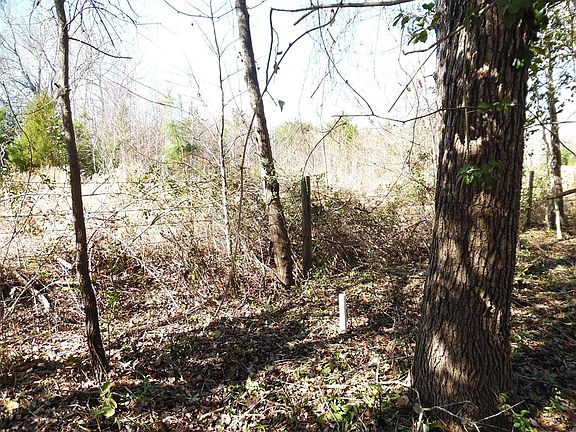 4th image of 2 Maple Dr