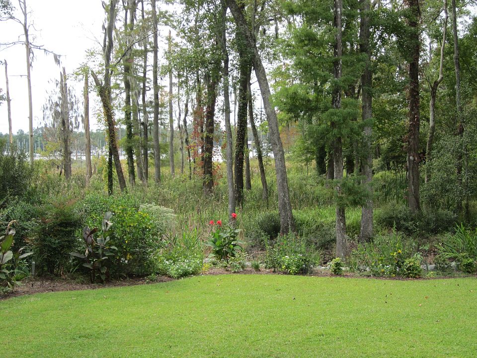 BACKYARD TO BROAD CREEK