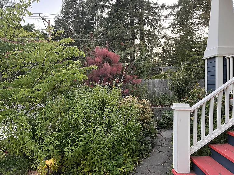 4031 SW Alice St — Photo 8