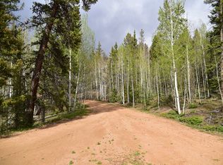 304 Alpine Dr, Florissant, CO 80816