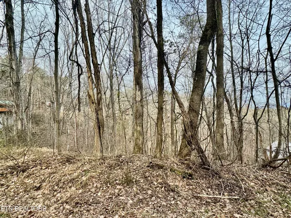 Ridgecrest Dr, Sevierville, TN 37876