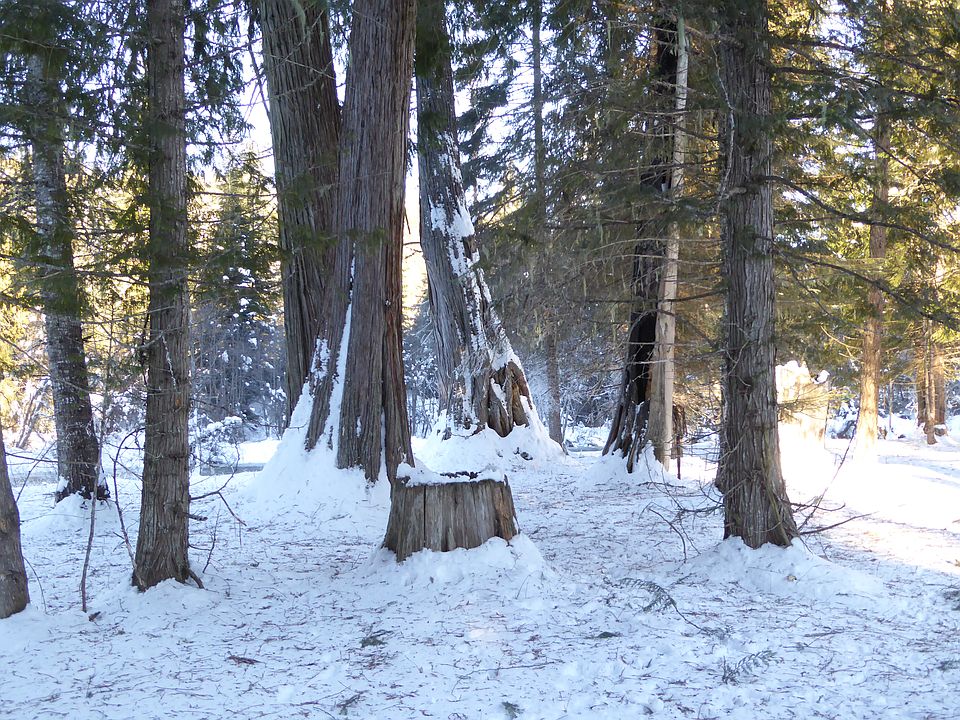 1st image of Clearwater Ests #6