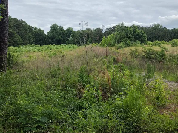 2796 Oscar Bradford Rd #2796, Hayden, AL 35079