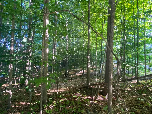 LOT 61 E Village Dr, Bellaire, MI 49615