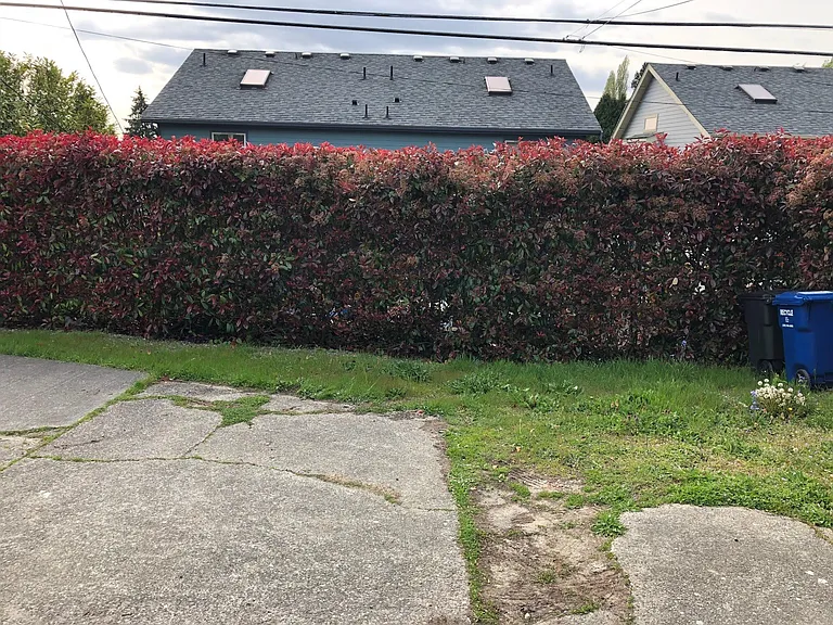6027 39th Ave SW — Photo 18