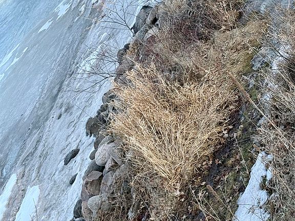 4th image of LOT 16 Cameron Cove Rd