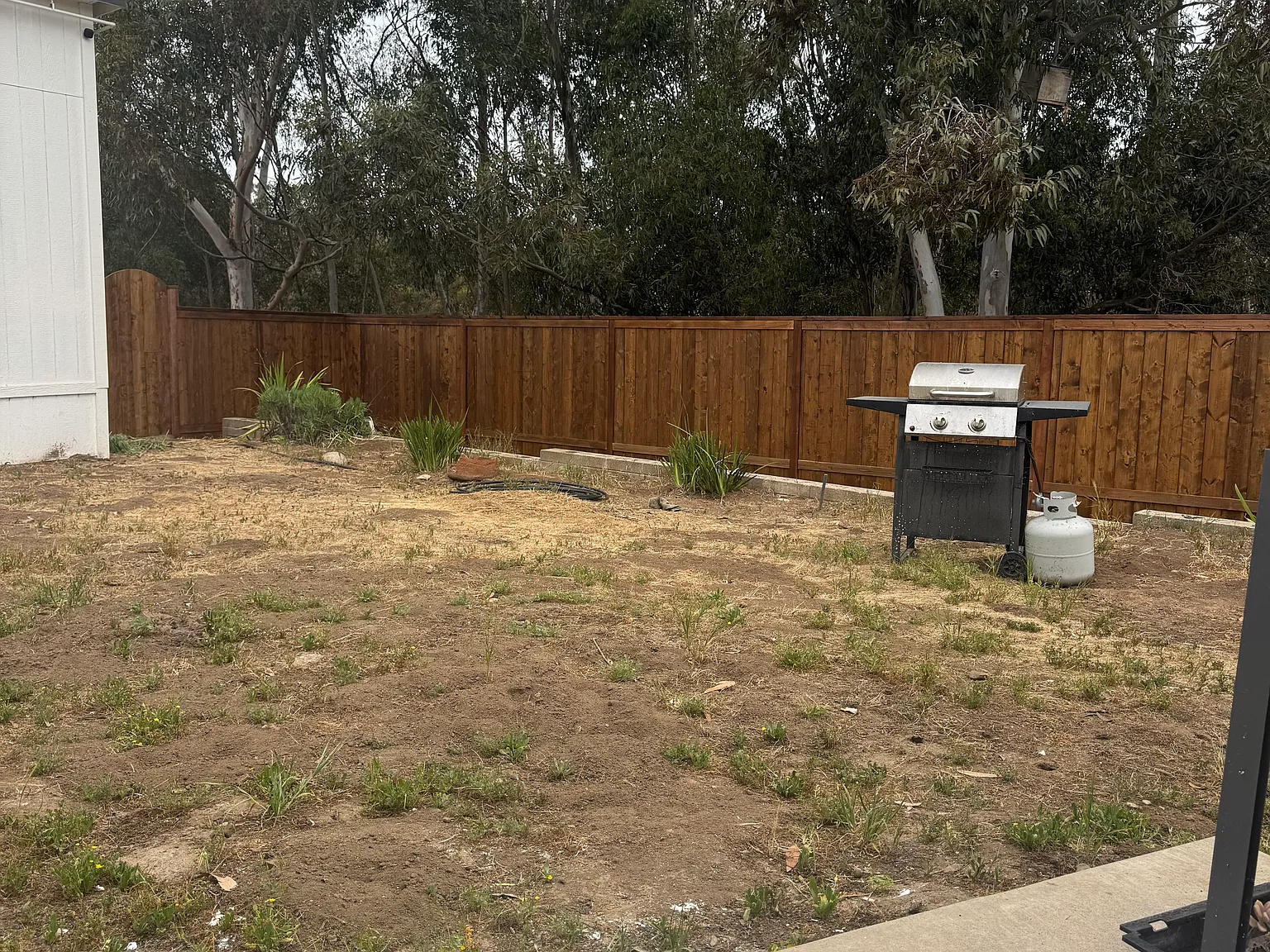 3 bed, 1300 sqft, $4,475 — Photo 3