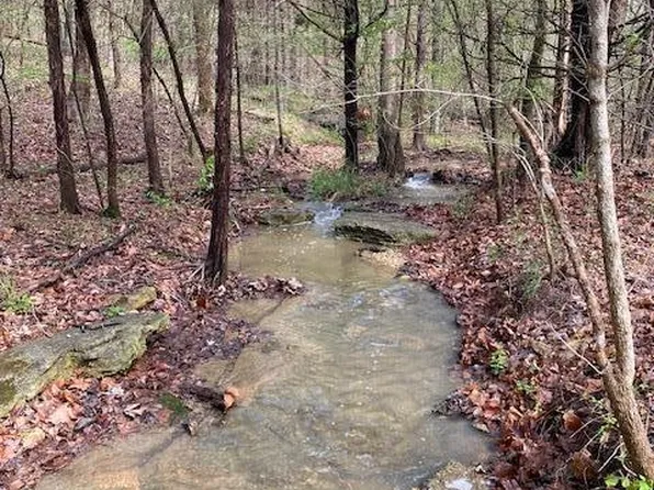 0 Ware Rd, De Soto, MO 63020