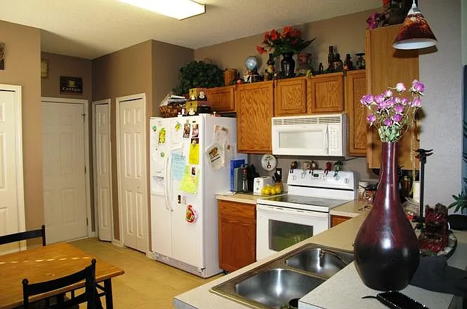 313 Scrub Jay St — Photo 10