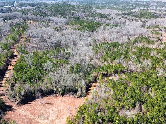 Dji Fly 20260207 134850 333 1770490419358 Photo Optimized