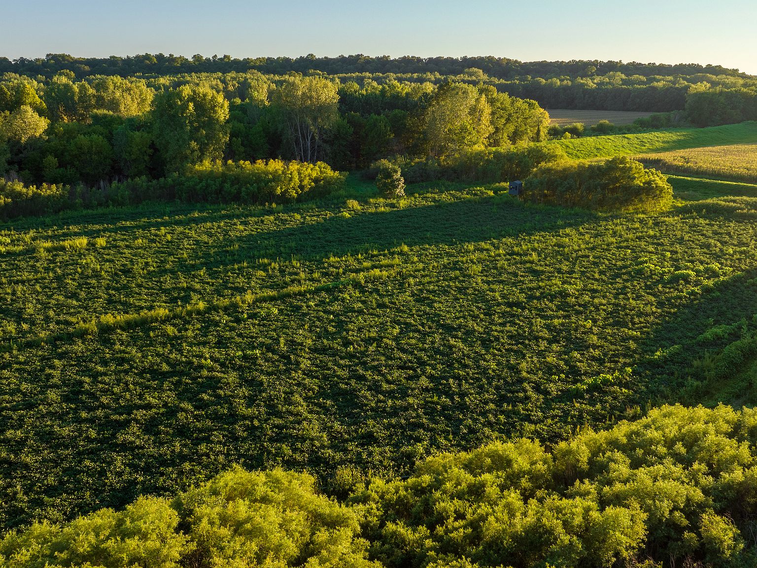 Forsythe Rd LOT WP001, Rushville, IL 62681 Zillow