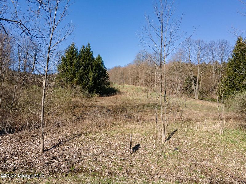 3rd image of 139 Snyder Brothers Road