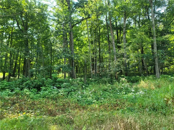 00 County Highway U, Sand Creek, WI 54757