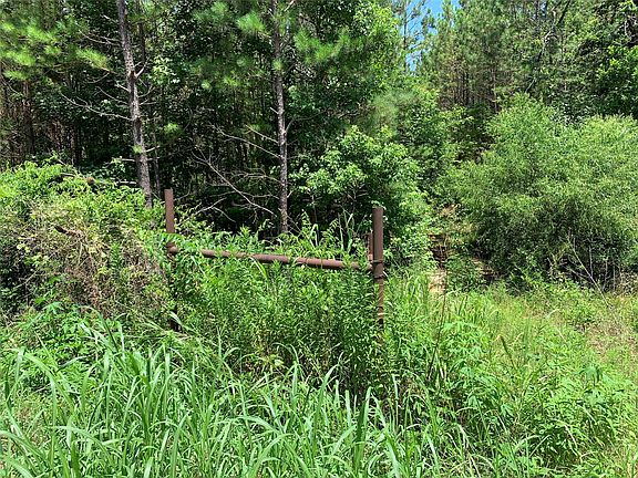 2nd image of 558 County Road 4101