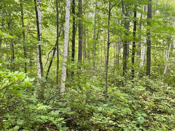 Xxx Pebble Pass, Cushing, MN 56443