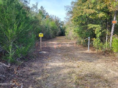 0 NW White Pond Cir Lot 9, Altha, FL, 32421