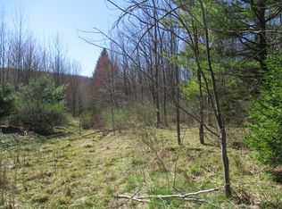 300 Dunn Hill Rd, Pine Valley, NY 14872