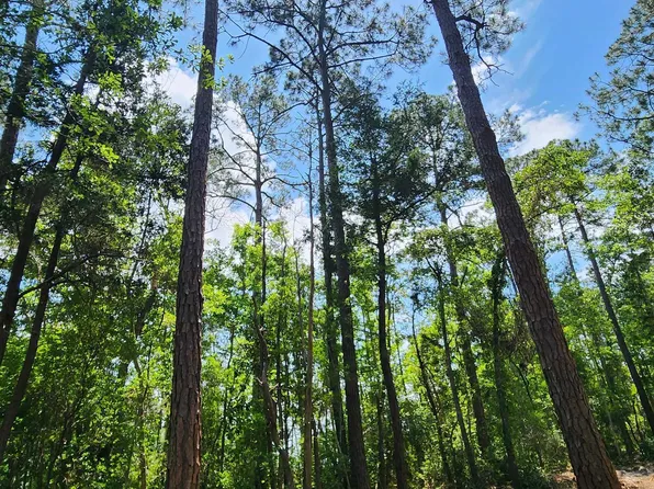 0 7th St, Lillian, AL 36549
