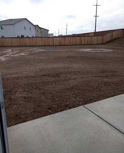 Backyard 2