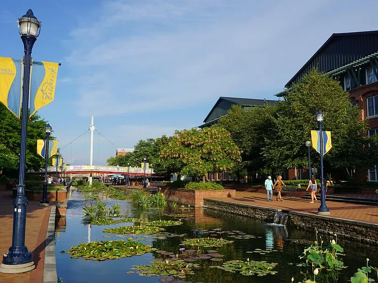 Carroll Creek, just a few steps away.