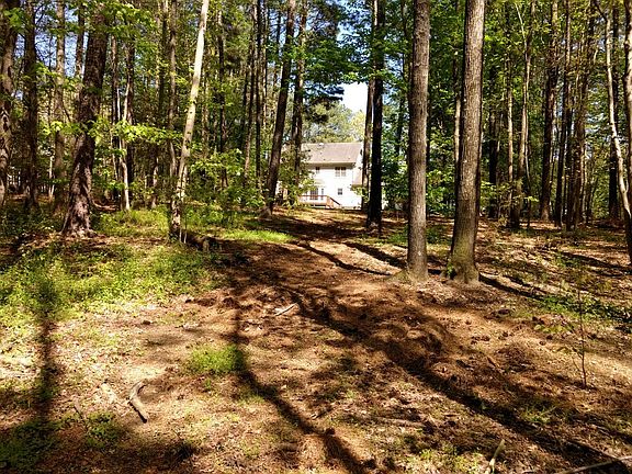 large backyard