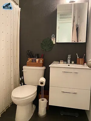 Rented by Fifth & Forever LLC | media 65