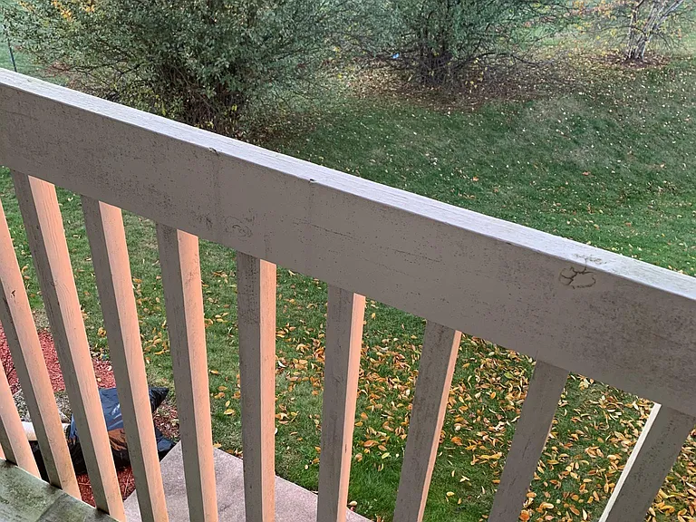 View from deck and family room