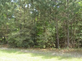 106 Ebner Lake Dr, Montgomery, TX 77316