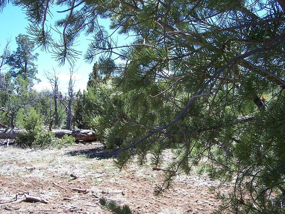 1st image of 8398 Mogollon Trl